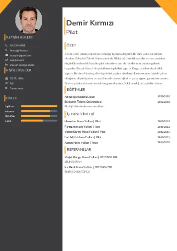 cv indir